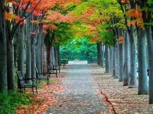 |4，50岁的你，中年究竟有多难？