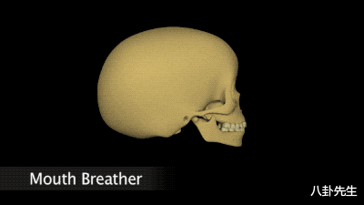 杜宇麒|杜江儿子嗯哼近况引人担忧,被调侃长得像胡一统,还被质疑患了病