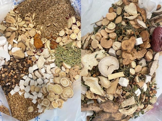 治痛风的断根怪方