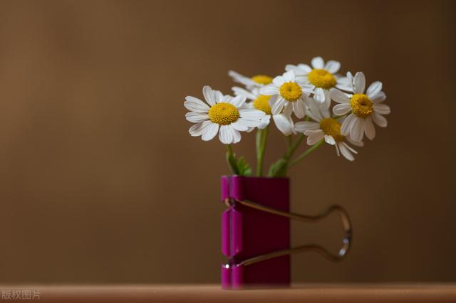 戒掉以下喜好，可以活到九十岁