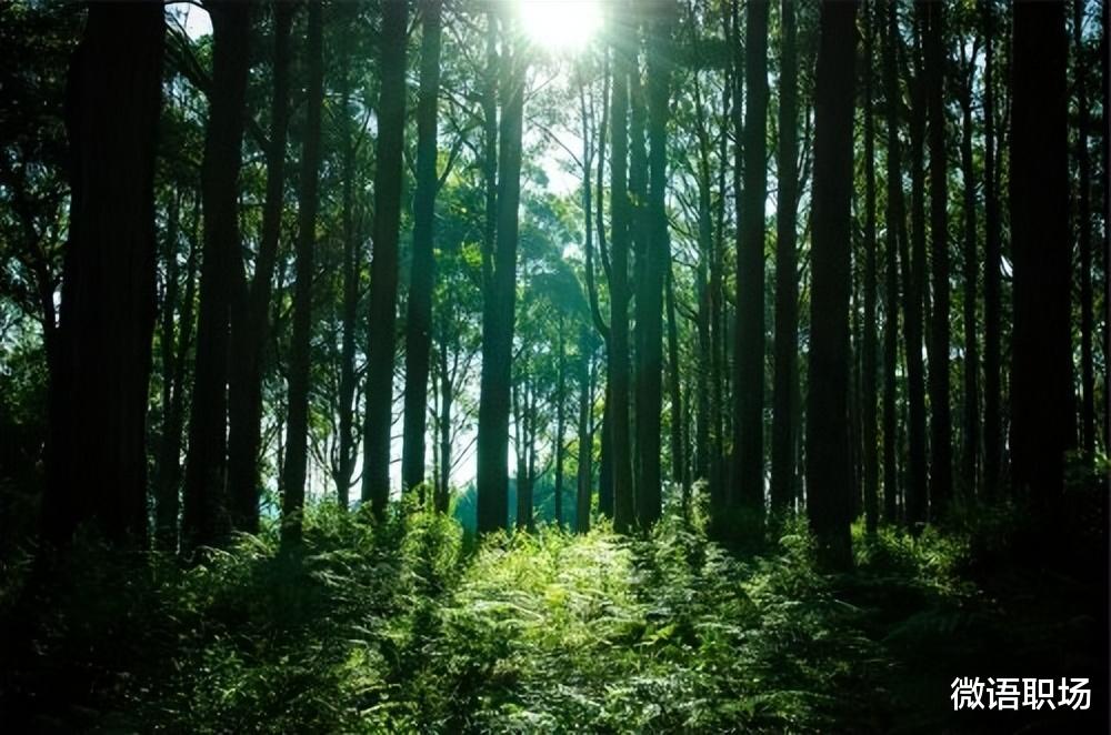 火上热搜的“五千块定律”，我看到了普通职场人的悲哀