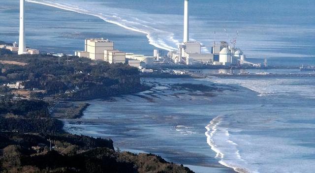 红薯|我国瞧不上的“野菜”,却被日本大量进口,还称其为“长寿菜”?