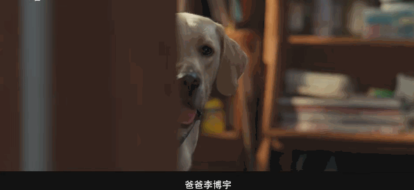 看了《再见，李可乐》，发现演技完全不能比较，优与劣一目了然