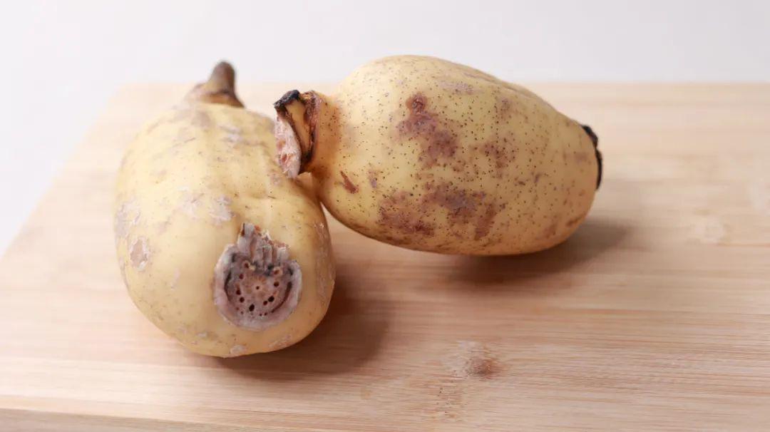 这种常见的食物，却是“止血圣药”，很多人经常吃，可能都不知道