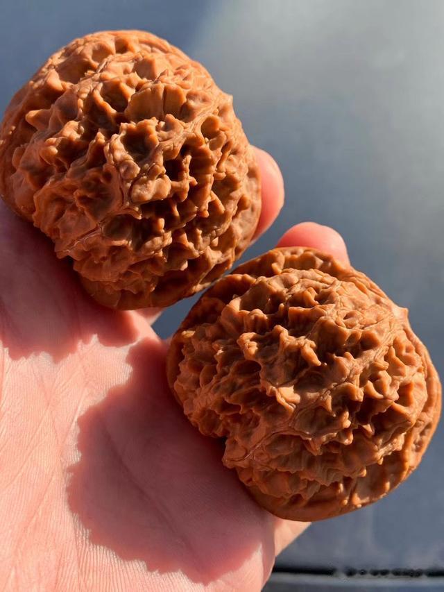 文玩核桃|送礼指南-适合送长辈的文玩核桃