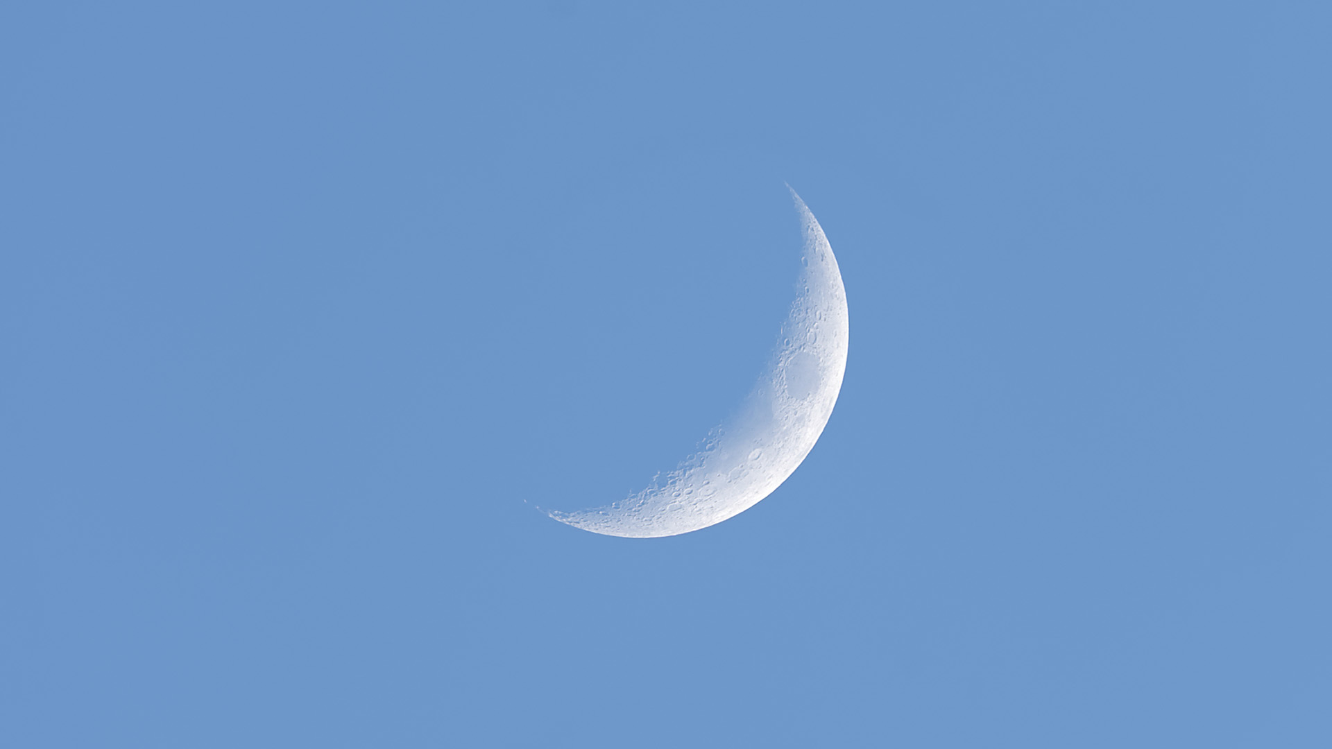 鲤鱼|我,月圆之夜钓鱼时这样操作,照样能有个好渔获