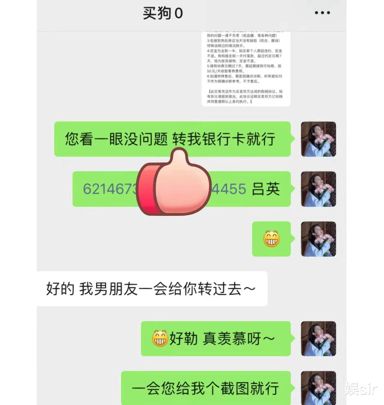 大S|3个瓜！曝大S连夜送医，王思聪45000元买狗送女友，成毅刘烨有私生子