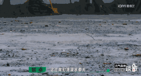 综艺节目|爱豆版变形计，惨是真的惨