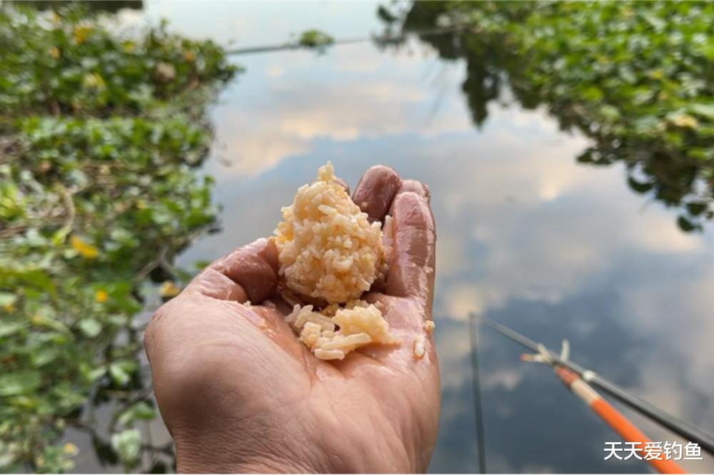 饵不在精,对路则灵!野钓大鱼,奇效饵料有哪些?