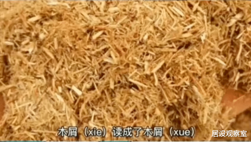 黄忆慈|未成年穿低胸装的黄多多,被批是“绝望的文盲”,以后别演戏了