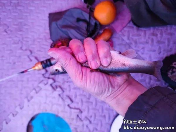 野钓钓出黑坑的感觉