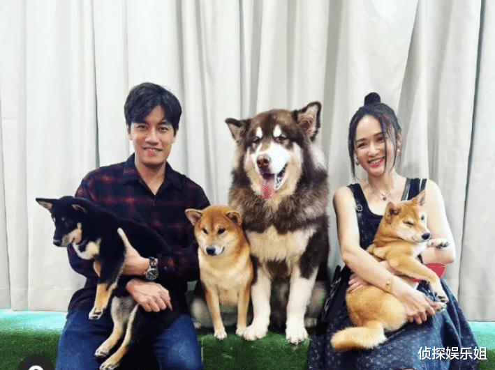 陈乔恩|陈乔恩晒老公视角出游照,打扮青春少女感足,腿部贴胶布引担忧