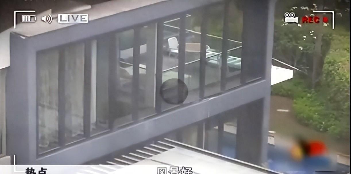 “娱乐圈第一狗仔”卓伟爆出的惊天大瓜,个个轰动,次次实锤!