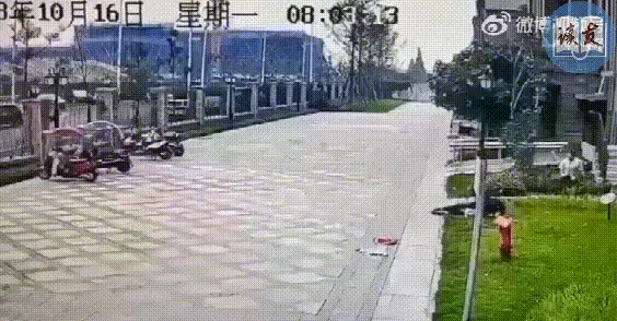 众明星为狗发声，没一个愿为被咬小女孩说话！