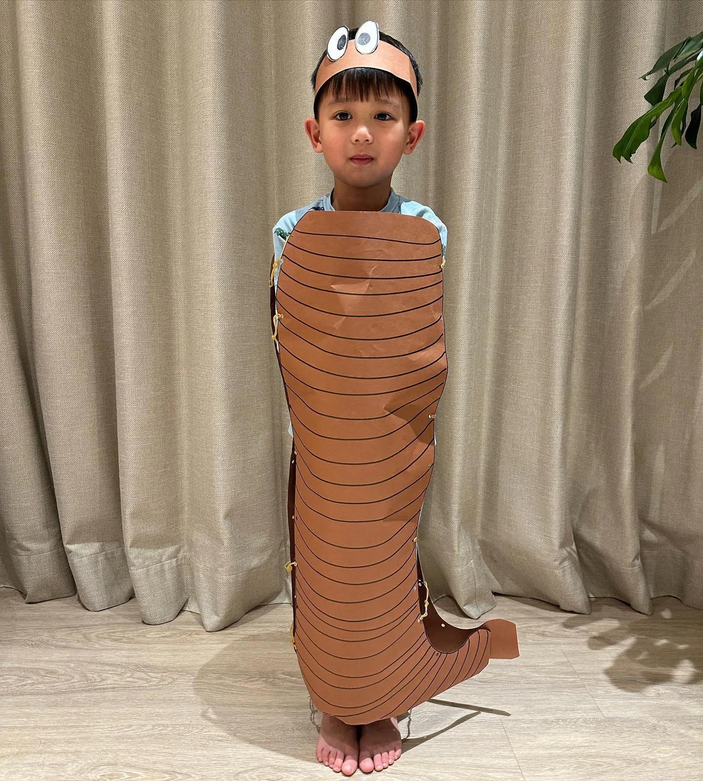 胡杏儿|胡杏儿晒儿子萌照，奕霖穿蚯蚓装气鼓鼓，奕霆示范正确穿法太聪明