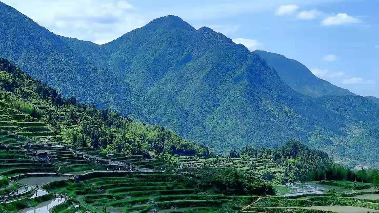 深圳市|深圳中介某招聘现场：90年出生的可以回去了