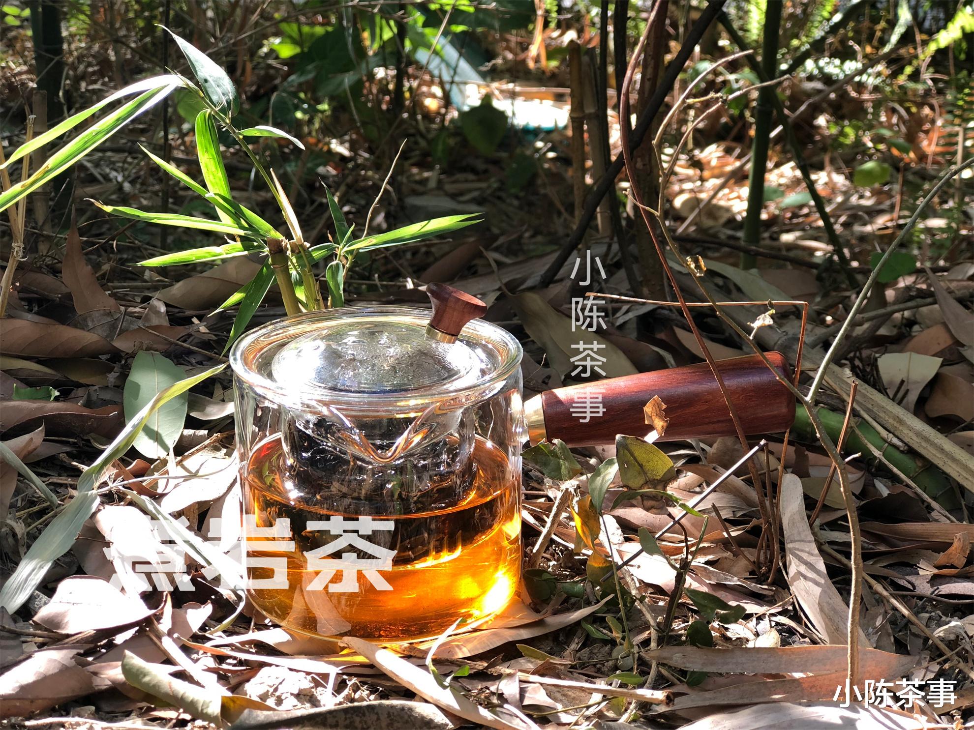 6种早该列入“煮茶黑名单”的茶叶,泡茶好喝,但煮茶真的不行