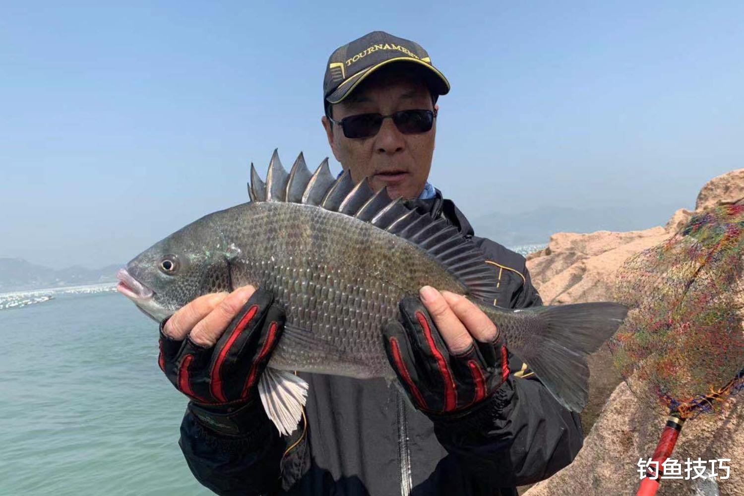 |黑鲷应该钓底还是钓浮？用什么鱼饵？钓黑鲷的4个关键技巧