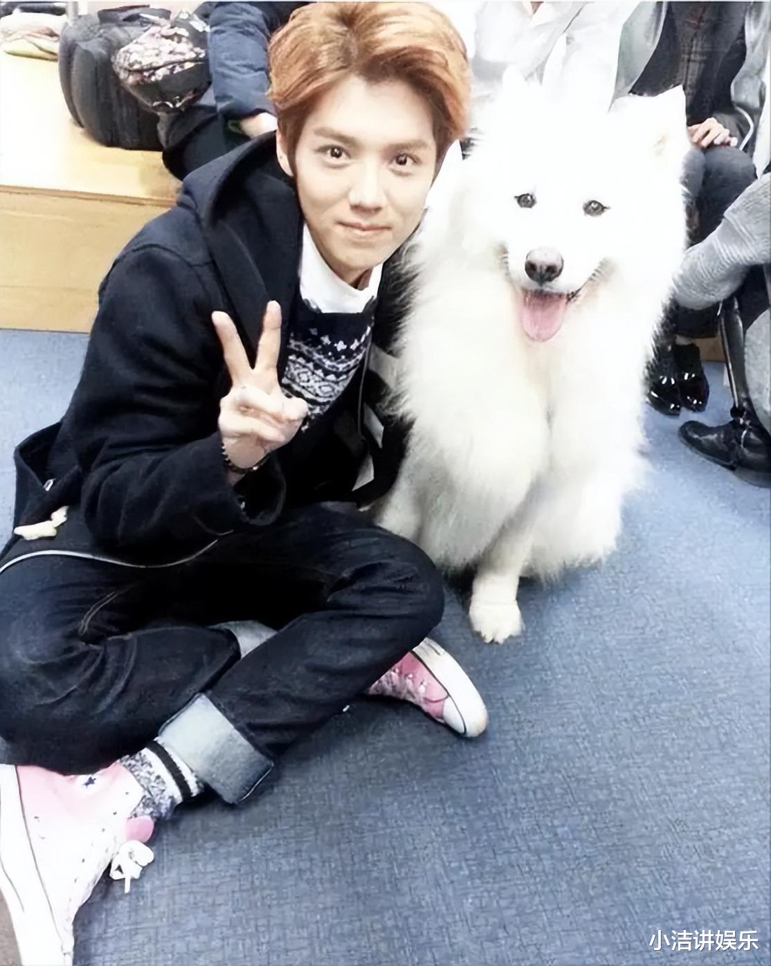 鹿晗|娱乐圈的“世态炎凉”,在鹿晗身上体现的淋漓尽致