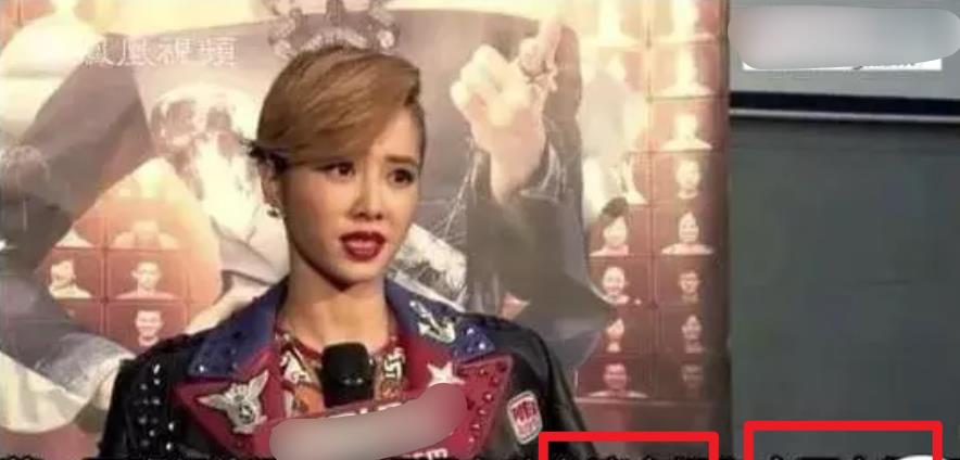 蔡依林|蔡依林重返内地捞金,坚决避谈立场问题,经纪人态度也十分嚣张