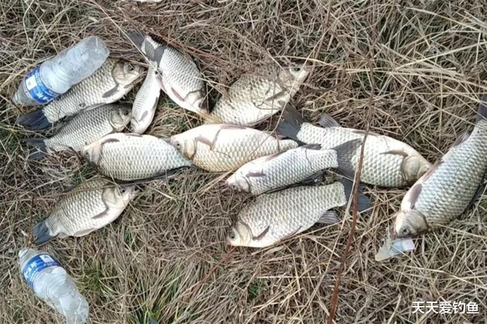 冬季野钓老扑空?可能不是因为气温低,是你够不到鱼窝