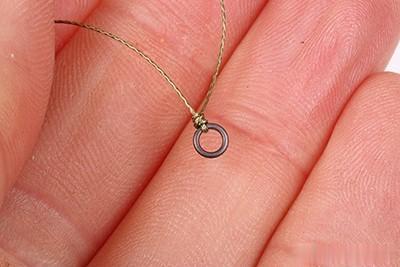 女孩|《话说欧鲤钓》诱饵篇 动物饵及成品饵节暨欧鲤钓创意实践赛规则