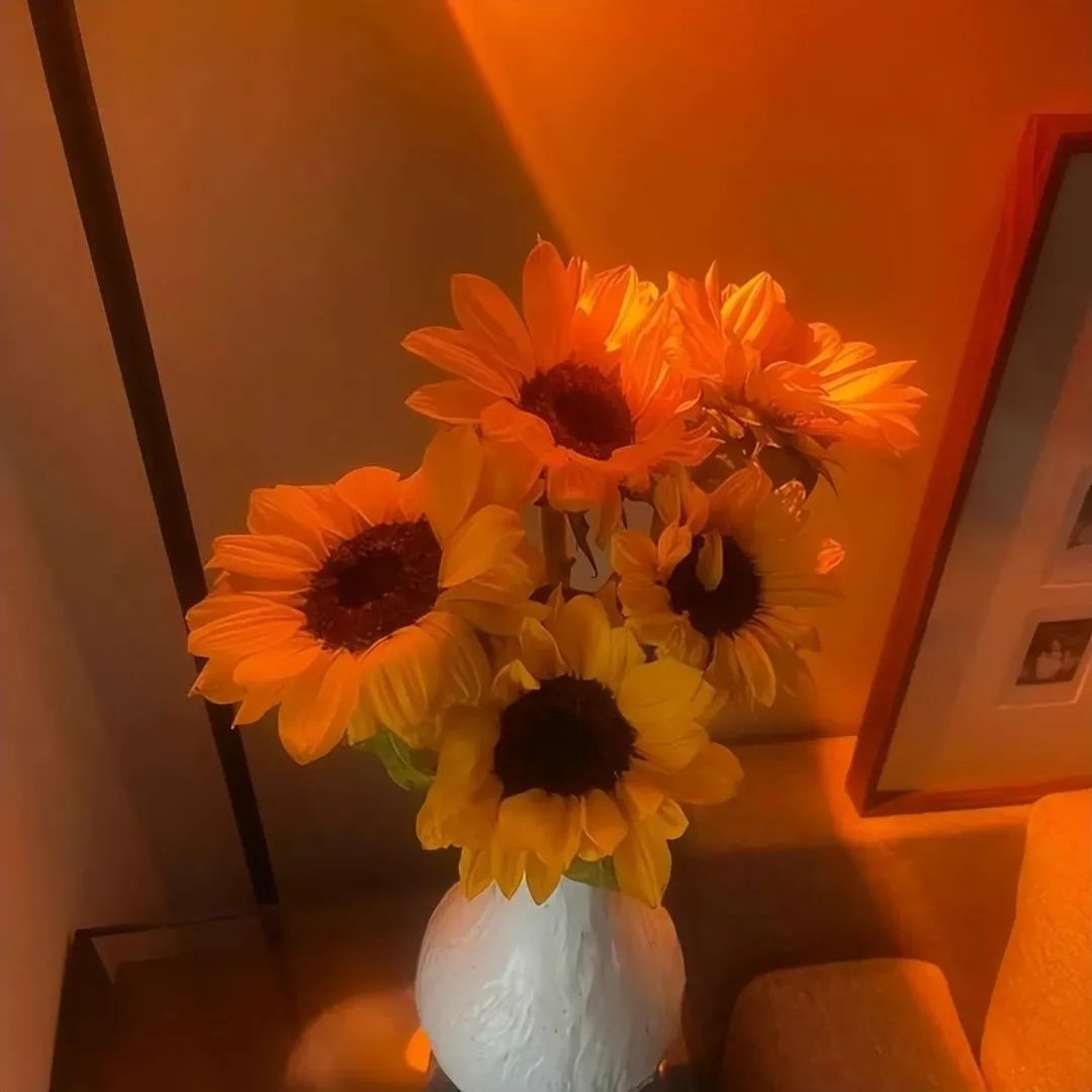 44岁秦岚的爽文人生：只恋爱，不结婚，住千万豪宅！