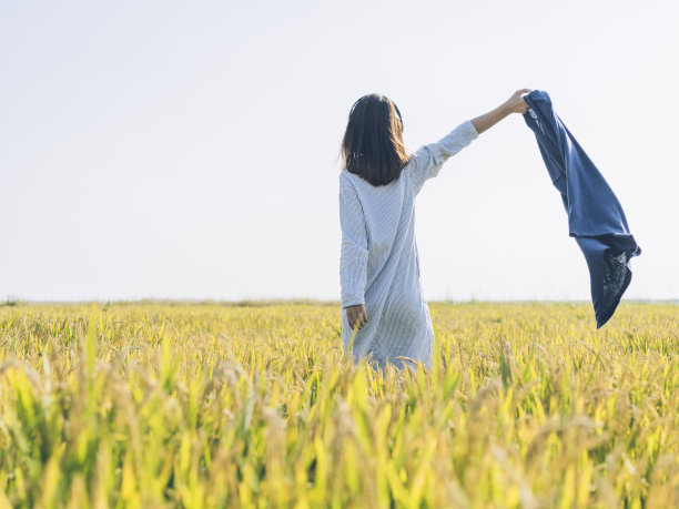 声生不息·宝岛季|如何评价综艺《声生不息·宝岛季》?