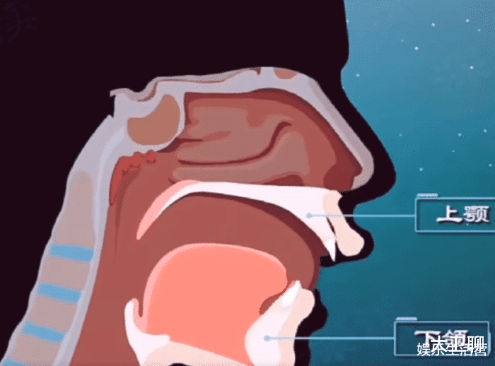 杜宇麒|连爸妈都认错,霍思燕儿子嗯哼被指腺样体面容,智力已受影响