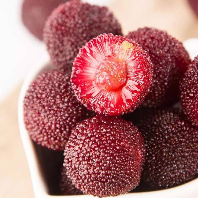 温州|茶山丁岙杨梅：“红盘绿蒂”酸甜多汁，满满的“初恋”味道