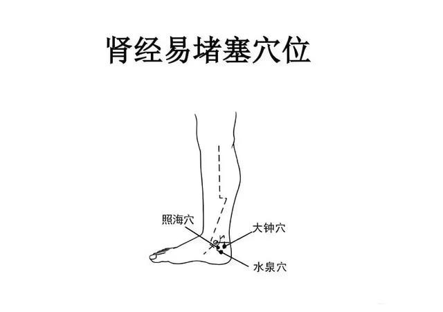 十二经络易堵穴位汇总，建议收藏转发！