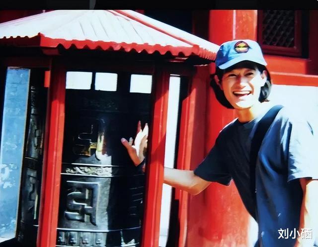 |矢野浩二被打得满脸青紫，道歉求原谅，网友：我们不接受！