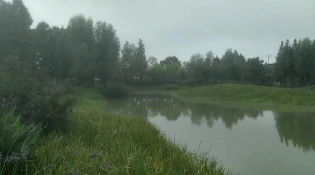 |冬钓鲫鱼,多打几个窝子会比一个窝子守钓多钓鱼,你需多尝试几次