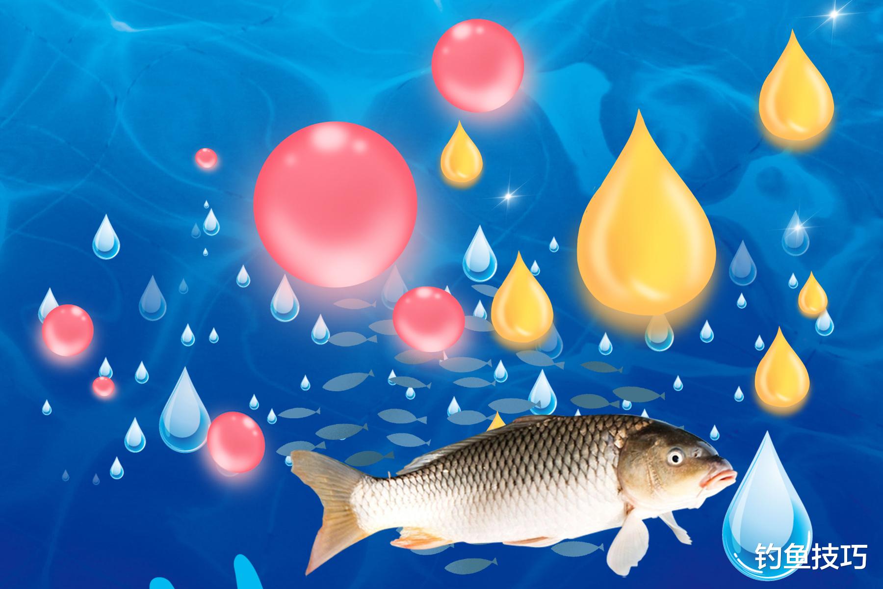 哪种小药诱鱼快?如何使用诱鱼小药?诱鱼小药的分类和使用技巧