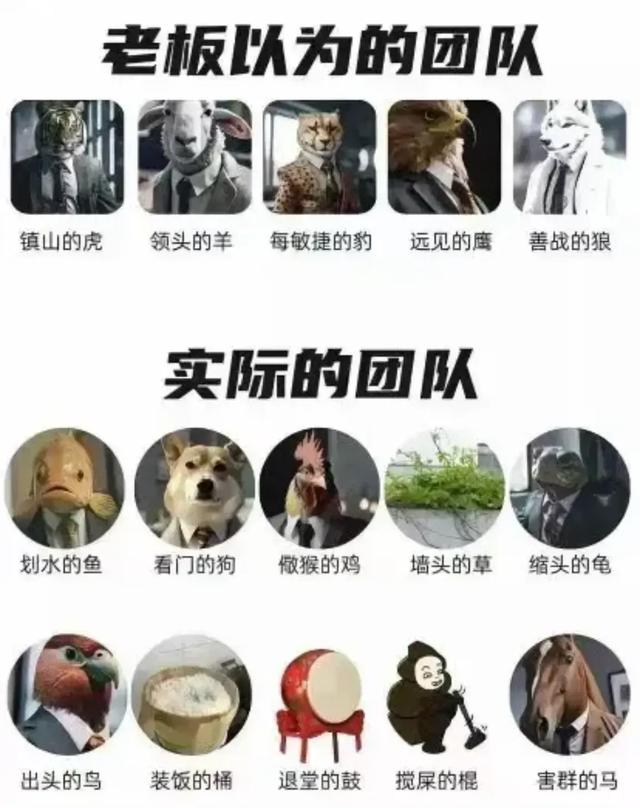 职场政治、办公室文化，你要玩得转一点！