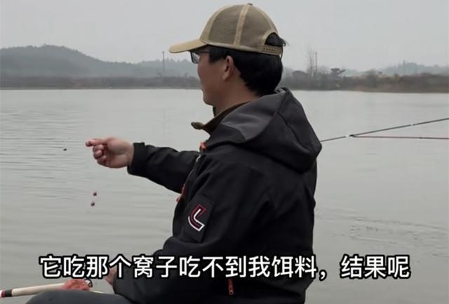 高峰|窝里有鱼不开口如何处理?两大钓王现身说法,学到就是赚到