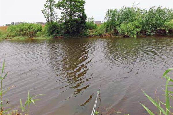 浮漂出漂相沉稳,以为是大鱼咬钩,其实不然!