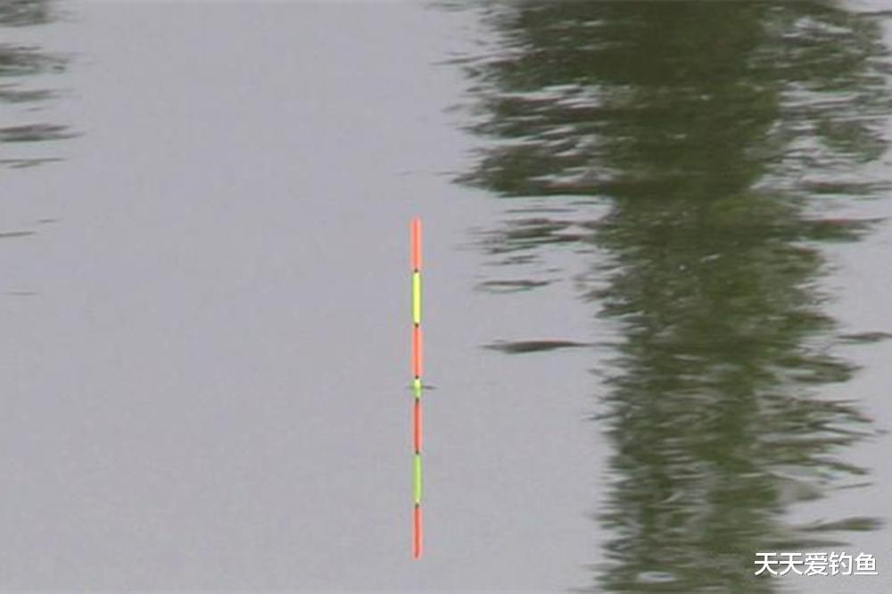 玻璃纤维|图解“正宗”调四钓二，不是调4目钓2目，都敢叫调四钓二