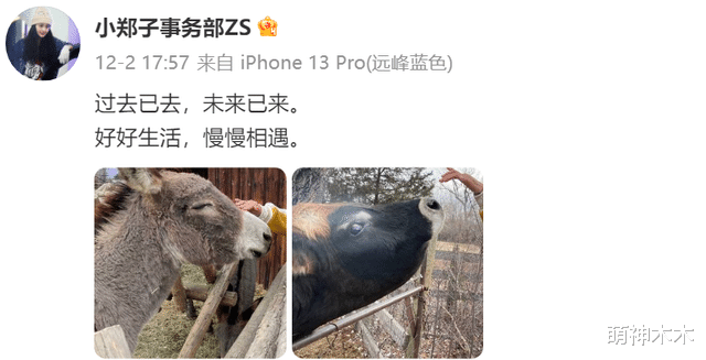 律师称郑爽有能力不执行恐坐牢,工作室连忙发声,表示会努力履行