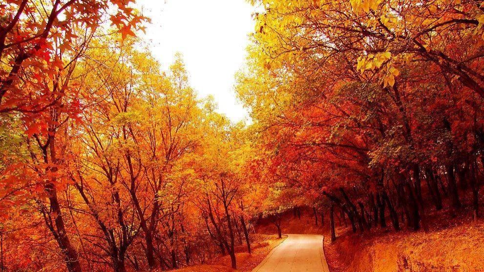 营养师|2023年如何考取营养师 最新报考条件是什么