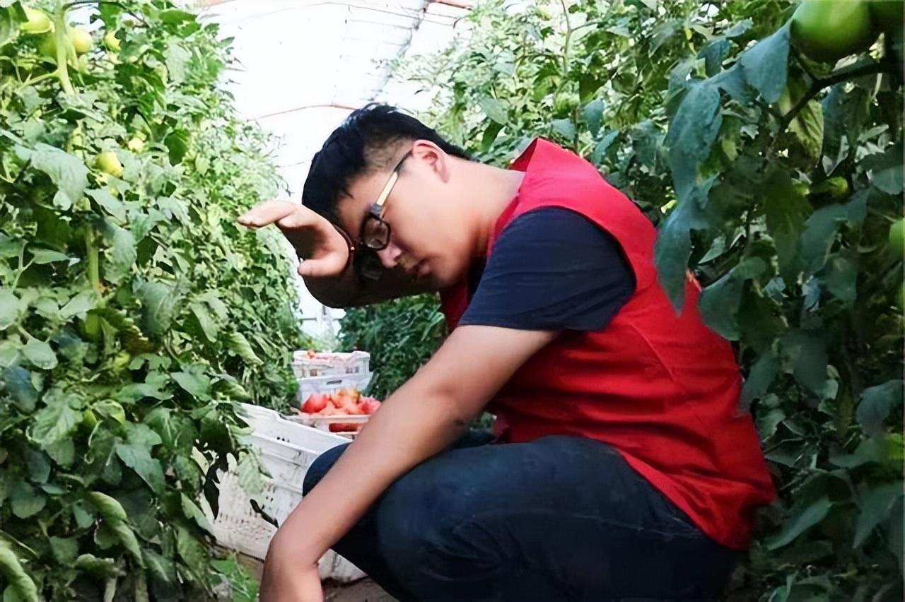 大学生|农村孩子考上大学能改变身份,但大部分摆脱不了贫困