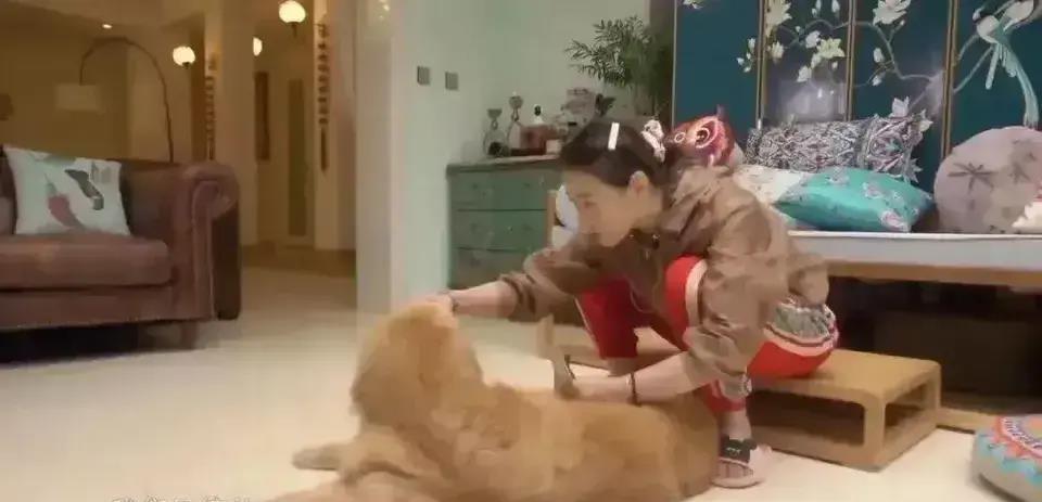 周海媚的离世告诉我们5个真相