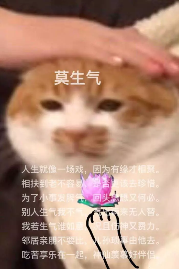 顶流vs顶流，当初鹿晗关晓彤官宣，也就这个炸度了吧！