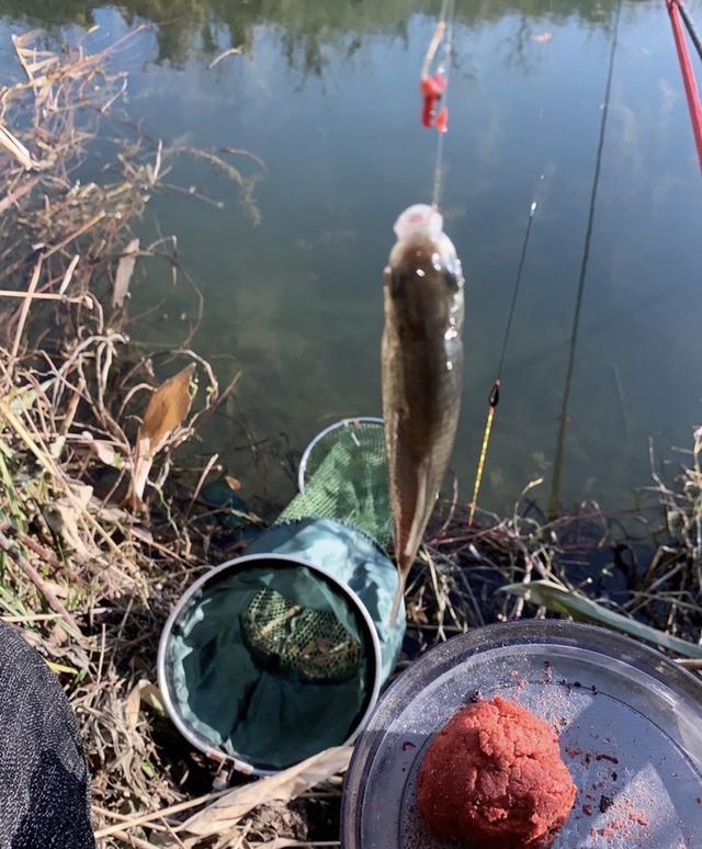 快乐|未雨绸缪做好预判，渔获如期而至