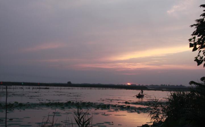 白洋淀|曾是上海市区唯一的天然湖，方圆200万平米，做过公园和野泳场