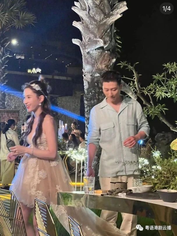 窦骁|何超莲低胸出席婚前派对　公主上身明嫁窦骁