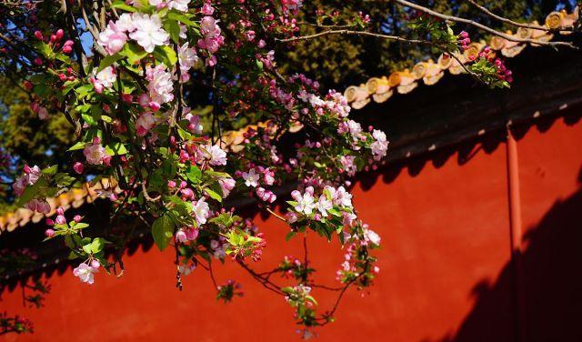 人到中年,告诉你四个,残忍的人际关系