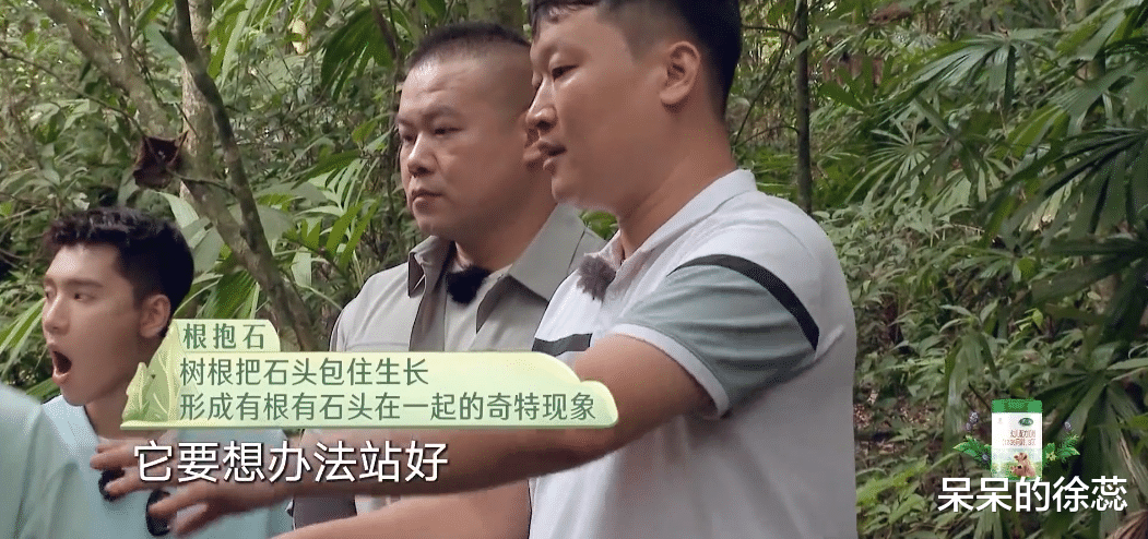 岳云鹏|《极限挑战》封神功臣有俩，真诚的印小天，会说话的岳云鹏