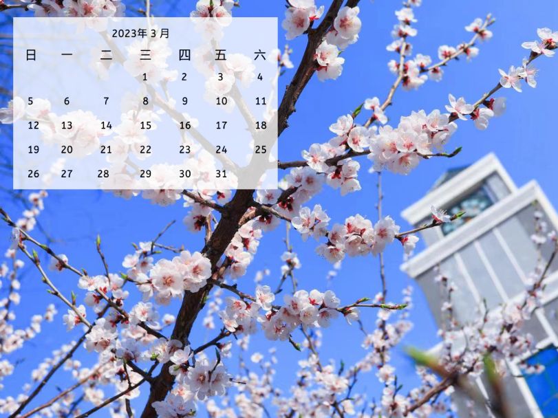 辽传2023专属日历来啦!