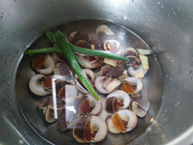 海鲜|日本核污水第三轮排海，这6种海鲜都是近海的，商贩：放心吃没事